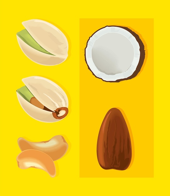 Nuts and beans icon set