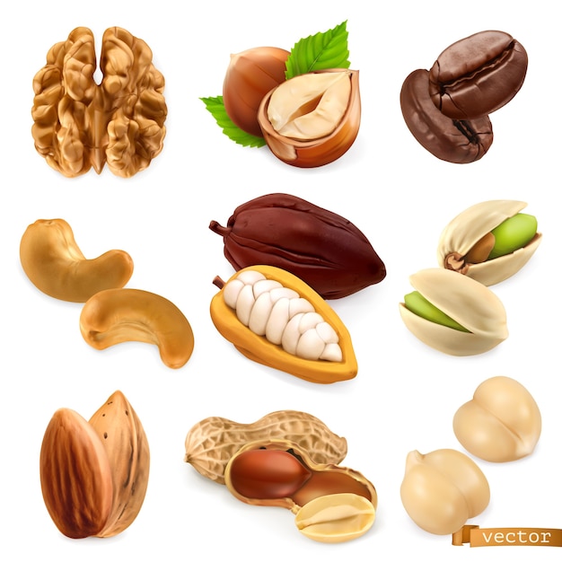 Nuts and beans. Walnut, hazelnut, coffee, cashew, cocoa, pistachio, almond, peanut, chickpea, vector set