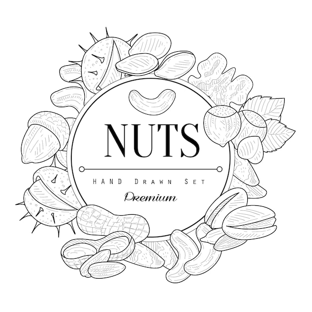 Nuts Collection Vintage Vector Hand Drawn Design Card