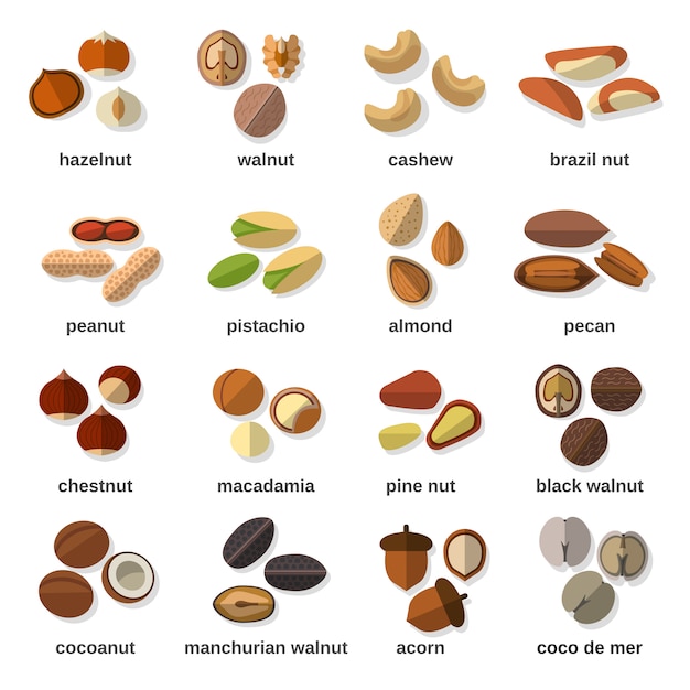 Nuts Flat Icons Set