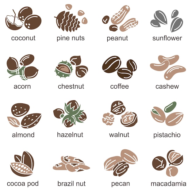 nuts icons set