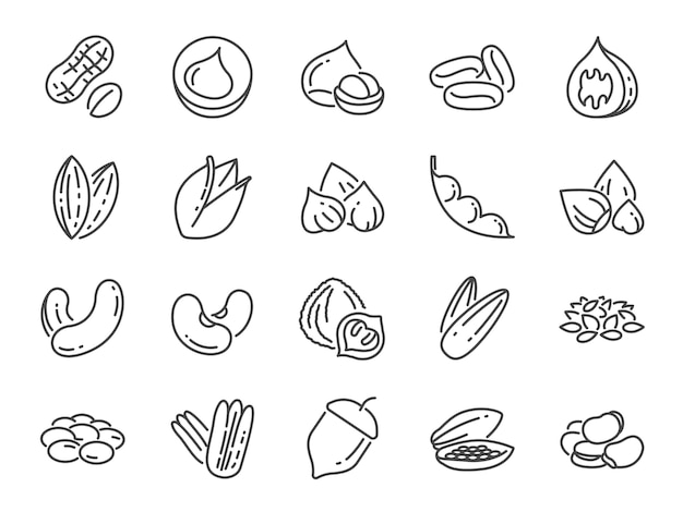 Nuts, seeds and beans icon set. 