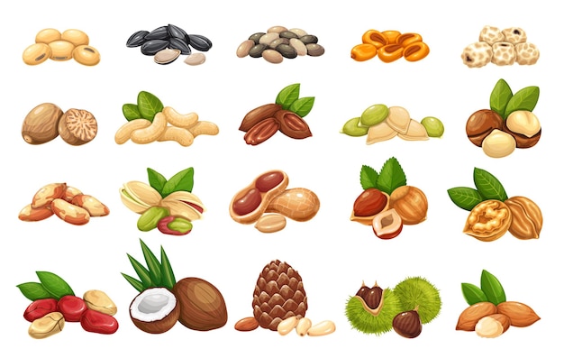 Nuts, seeds and grains icons  set