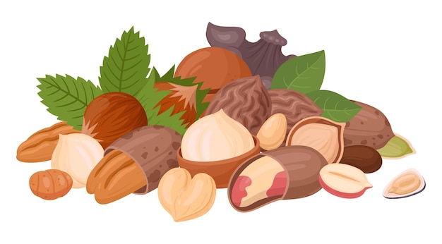 Nuts and seeds handful Raw seeds bunch almond peanut cashew and walnut mix vegetarian diet organic mix flat vector illustration Organic nuts mix