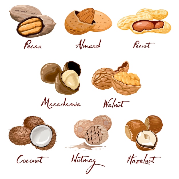 Nuts and seeds icons set