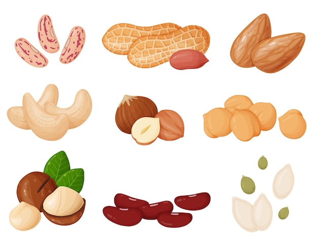 Nuts and seeds set in cartoon style Cashew hazelnut almond peanut pistachios macadamia pumpki