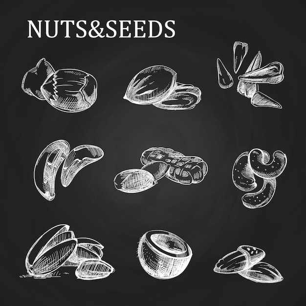 Nuts and seeds sketch 