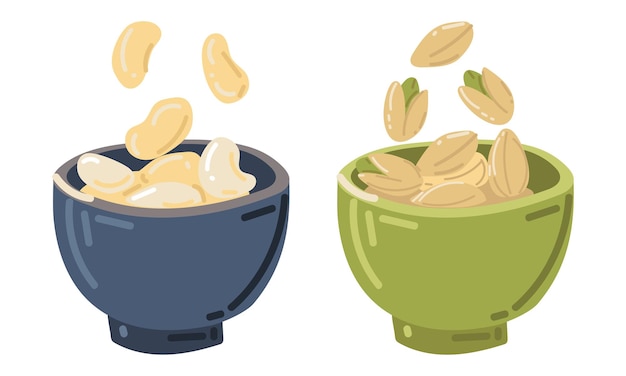 Nuts separately in bowls of pistachios and cashews Different nuts a single icon in vector