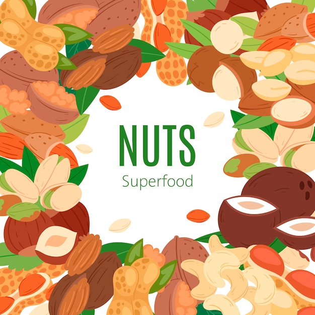 Nuts superfood collection flat cartoon banner. Peanut, pistachio cashew, coconut, hazelnut and macadamia. 