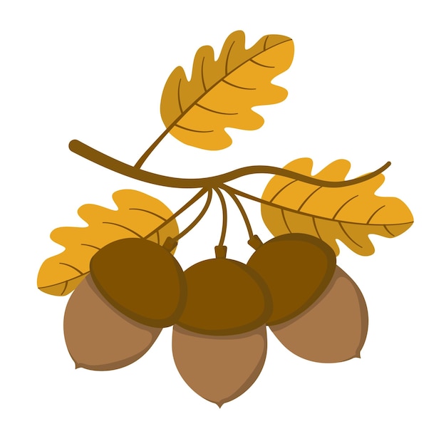 Oak acorn with yellow leaves in flat style Vector image