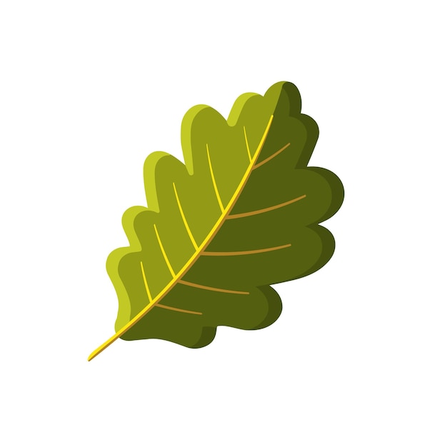 Oak green leaves Vector illustration in flat style