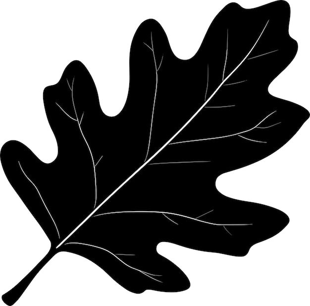 Vector oak leaf a black silhouette on a white background