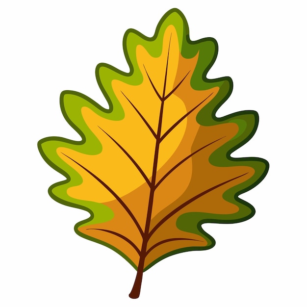 oak leaf clipart cartoon Illustration drawing