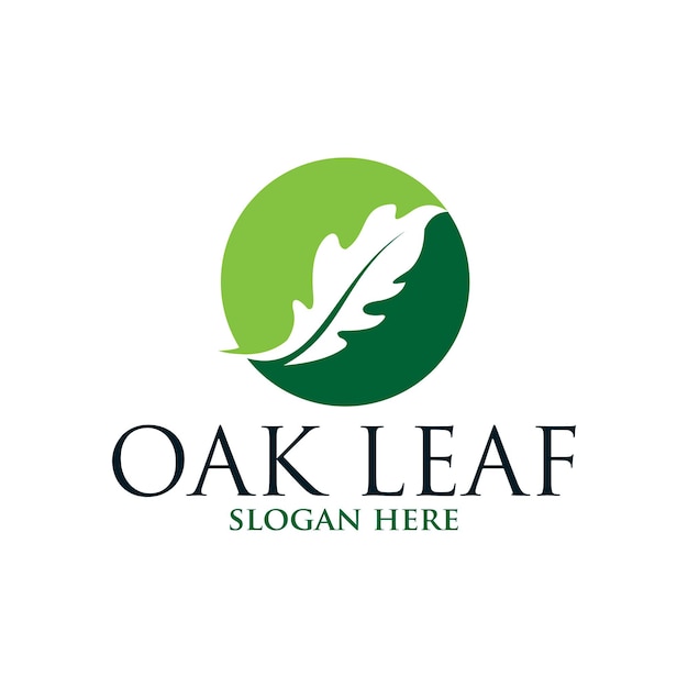 Oak leaf vector logo isolated. Logo templates.