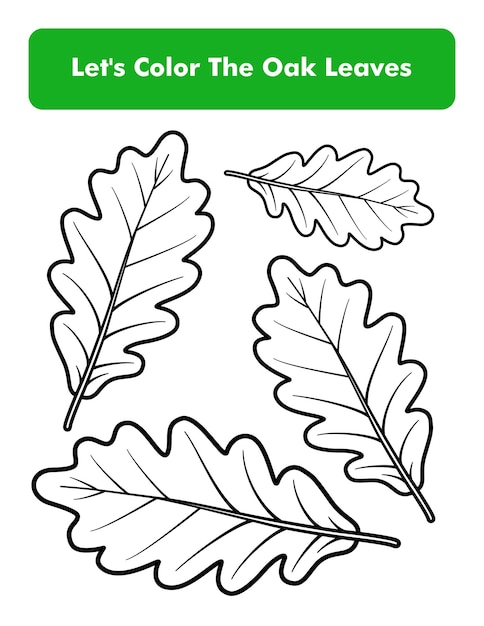 Oak Leaves Coloring Book Page In Letter Page Size Children Coloring Worksheet Premium Vector Element