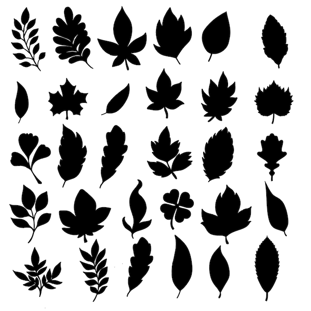 Oak leaves Oak Leaves Vector Illustration EPS Design for Natural Beauty