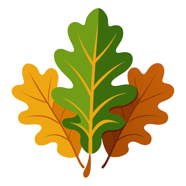 oak leaves vector on white background