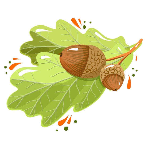 Oak leaves with an acorns autumn illustration vector clipart