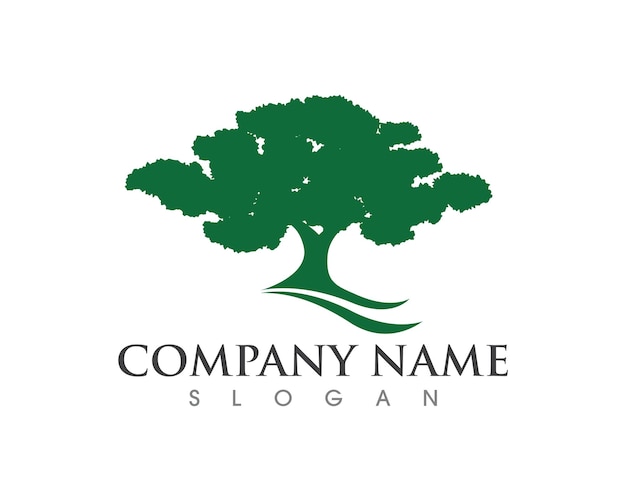 Oak tree Leaf Logo template