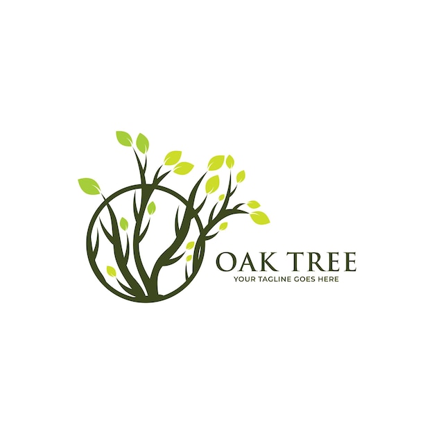 Oak tree logo template vector.