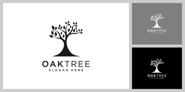 Oak tree logo vector design template