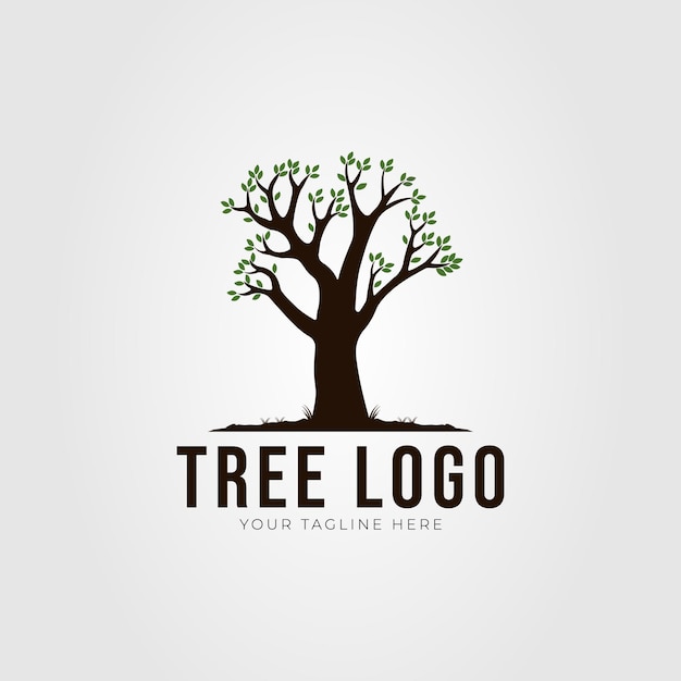 Oak tree or nature plant logo vector illustration design