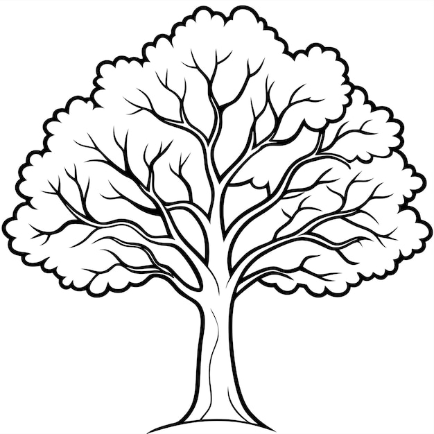 Vector oak tree outline coloring book page line art drawing