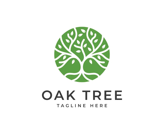 oak Tree vector icon Nature trees vector illustration logo design