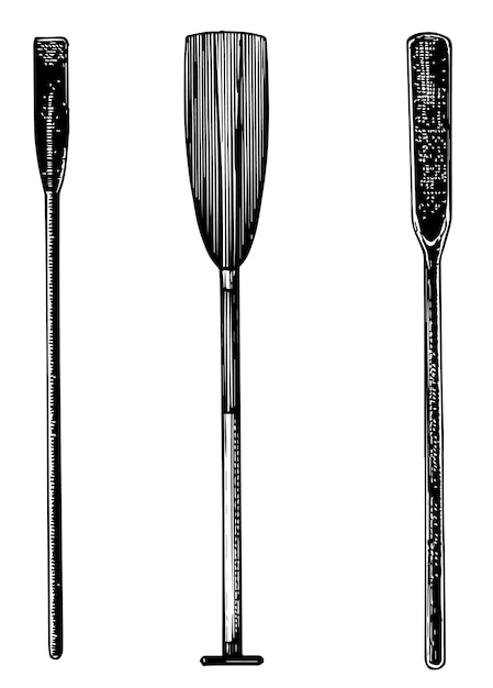 Vector oars pen and ink style illustration of three ship oars or paddles check out my nautical beach li