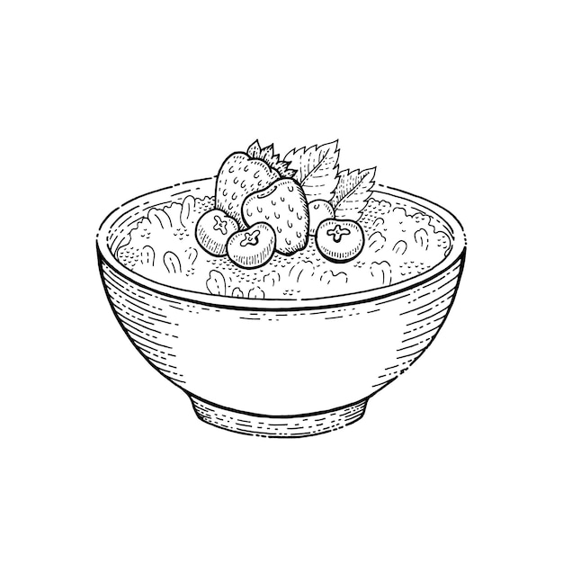 Oat bowl Oatmeal sketch vector porridge Breakfast cereal oat illustration Granola meal with fruit