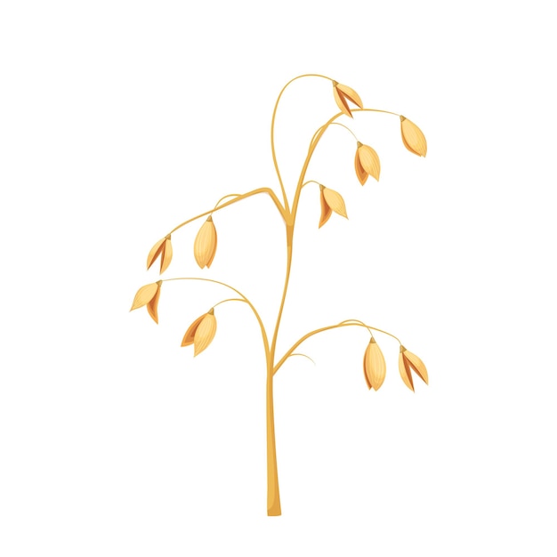 Oatmeal plant cartoon vector illustration