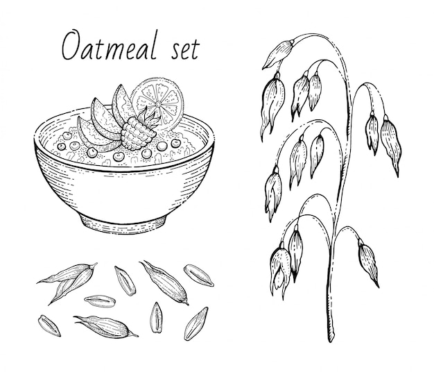 Oats sketch. Oatmeal porridge bowl with milk, fruit, oat ear, grain. Engraved icon art. Line muesli, flake for healthy sweet breakfast food design. illustration set.