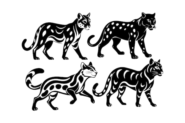 Ocelot silhouette vector illustration Ocelot silhouette vector Ocelot silhouette PNG