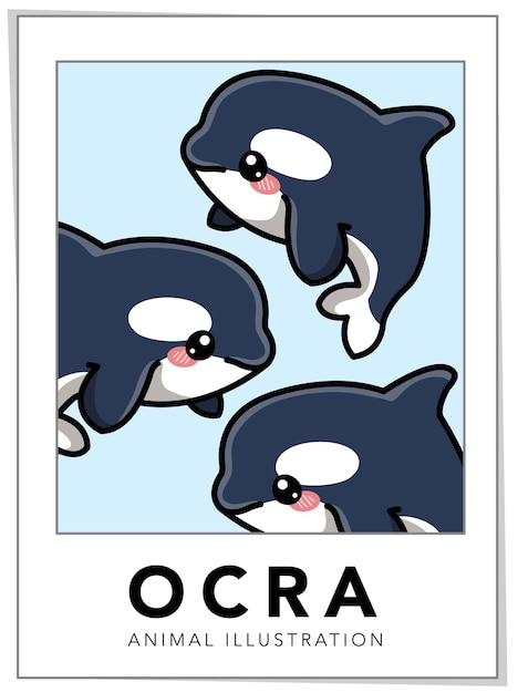 Ocra Or Killer Whale Illustration