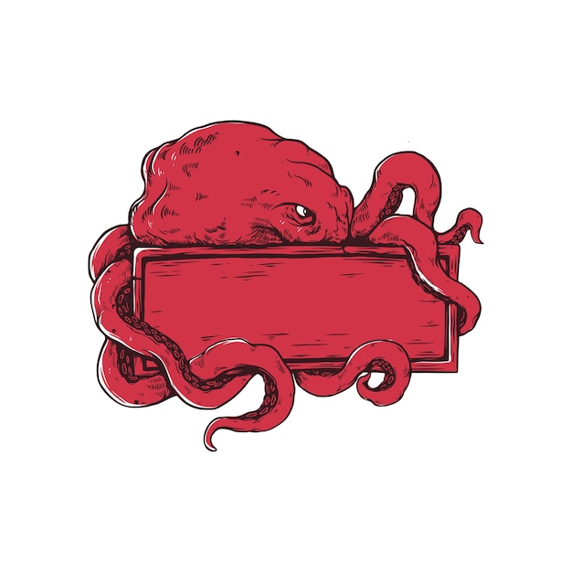 octopus and board illustration 