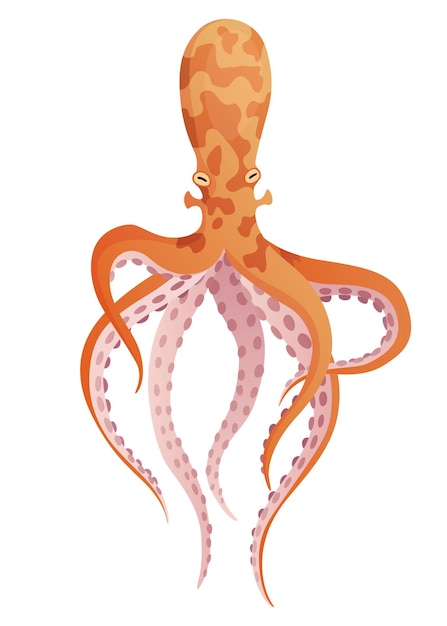 Octopus cartoon flat character with suckers on hands Aquatic fauna icon Animal illustration for zoo ad nature concept Cute color octopus sea animal with tentacles