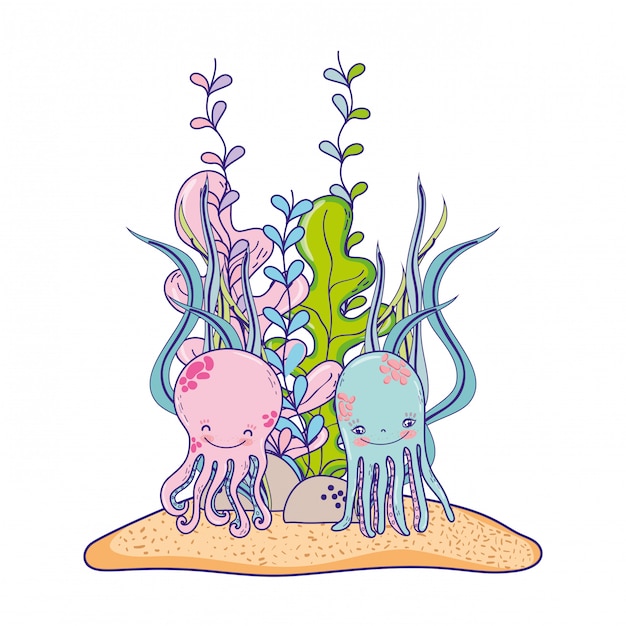 Octopus couple animal with seaweed plants