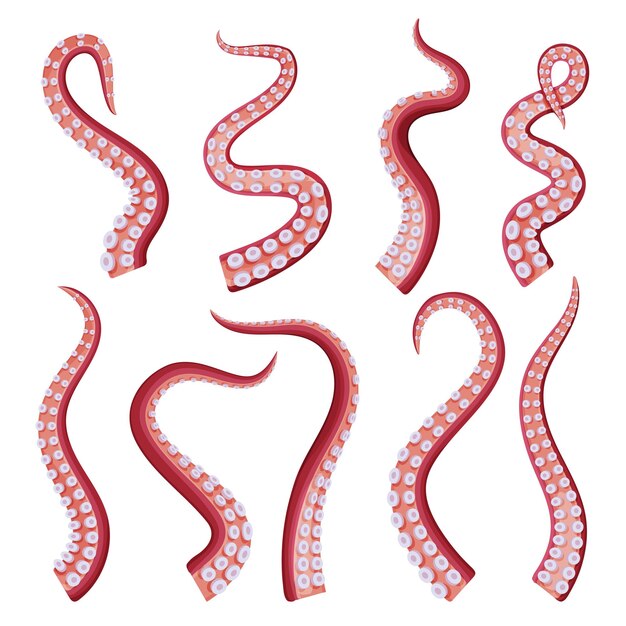 Vector octopus tentacles collection underwater marine creature part of body vector illustration