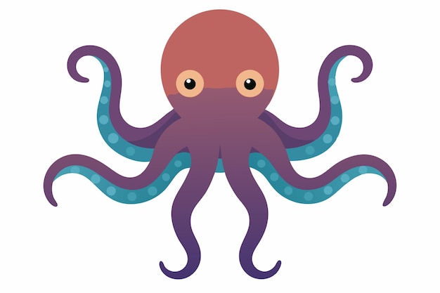 Octopus vector on white background