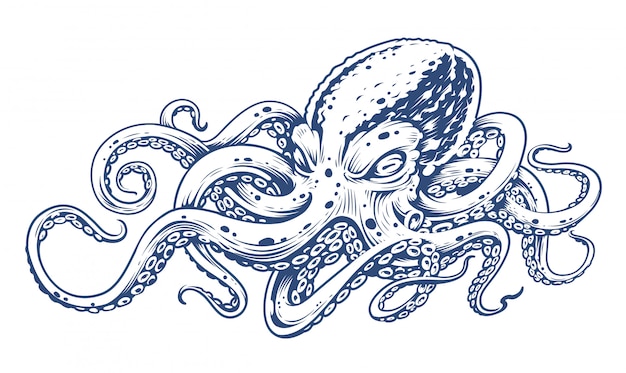 Octopus Vintage  Engraving style vector illustration of octopus.