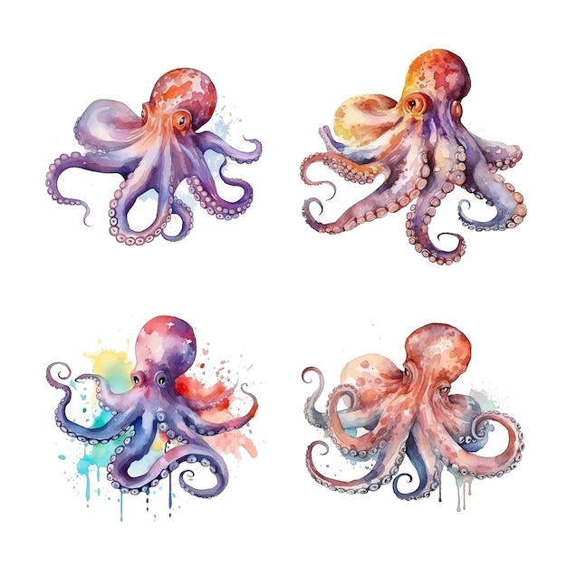 Octopus watercolor paint collection