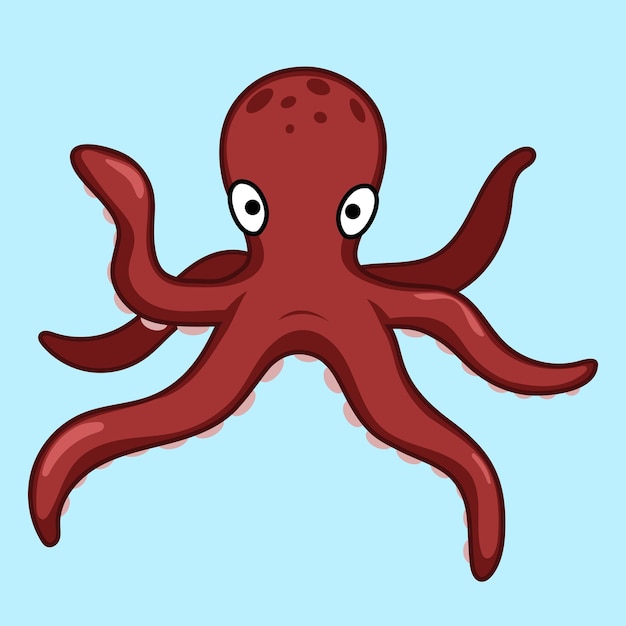 Octopus