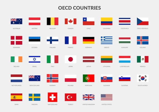 Vector oecd organisation for economic cooperation and development countries flag rectangle icon collection