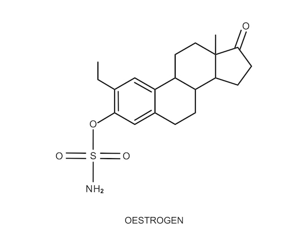 Oestrogen icon. Estrogen chemical molecular structure. Female steroid sex hormone sign