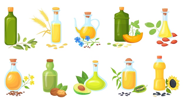 Vector oil seeds bottles oils for cooking vegetables with germ seed fat plant wheat olive sunflower sesame mustard nuts peanut farming nutrition fats cartoon neat vector illustration