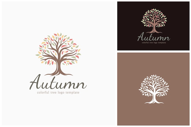 Vector old tree branches leaves of oak maple with fall autumn colors silhouette logo design