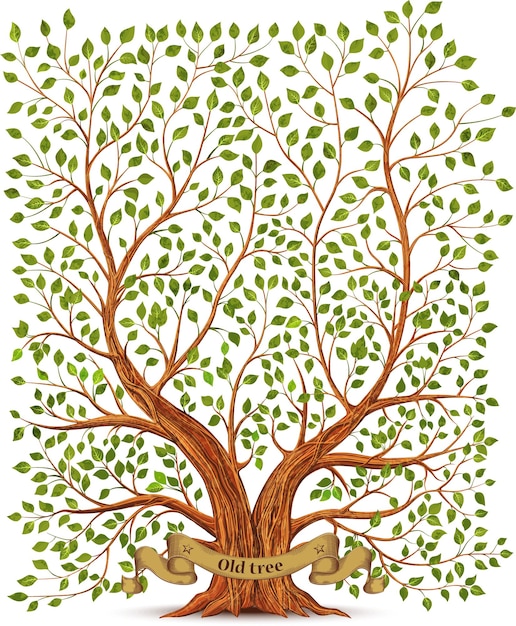 Old vintage tree vector illustration