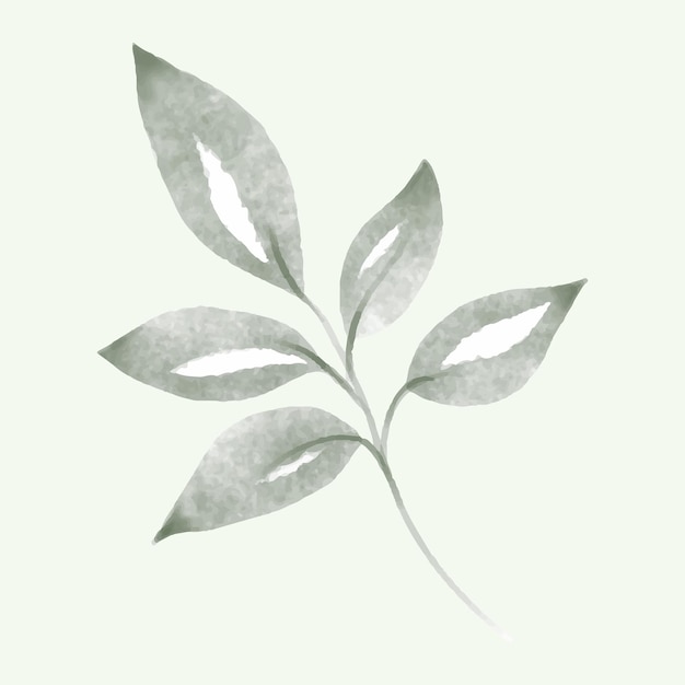 Olive branch hand drawn isolated on background