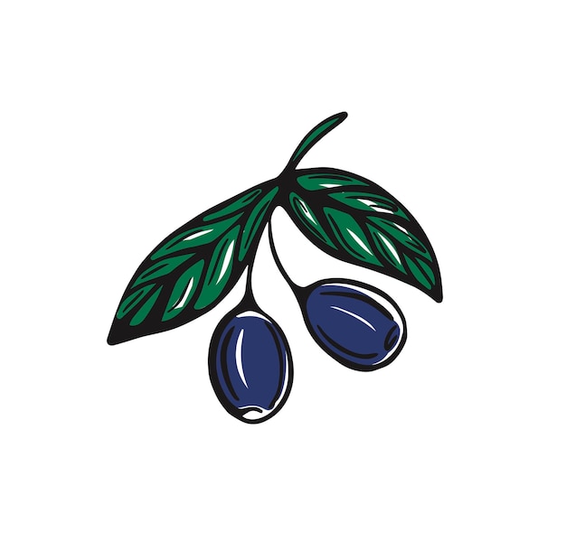 Olive branch Olives Vector illustration