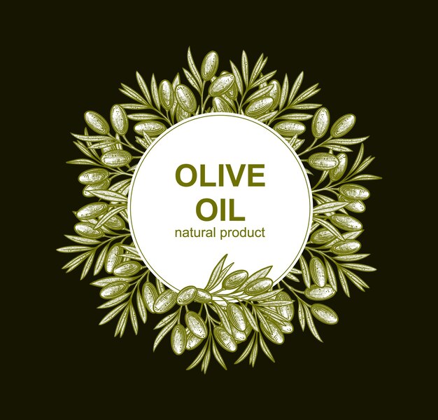 Olive branches frame Vector illustrations of branches with fruits and leaves for creating logos